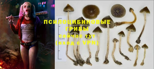 ешки Каменск-Шахтинский