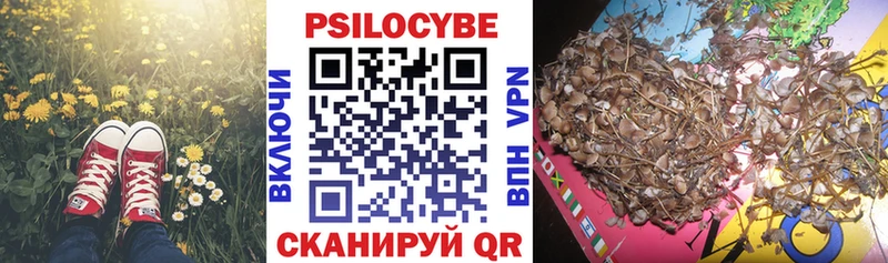МЕГА зеркало Унеча Псилоцибиновые грибы Psilocybine cubensis